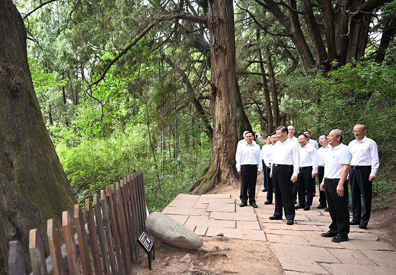 7月25日至27日，中共中央總書(shū)記、國(guó)家主席、中央軍委主席習(xí)近平在四川考察。這是25日下午，習(xí)近平在廣元市劍閣縣翠云廊考察。